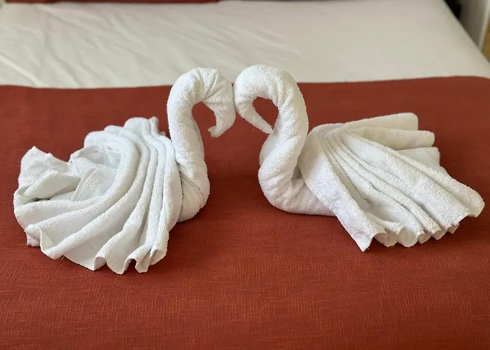 Le Pouticaire Daire *